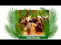 The king of israel   homily for palm sunday year b
