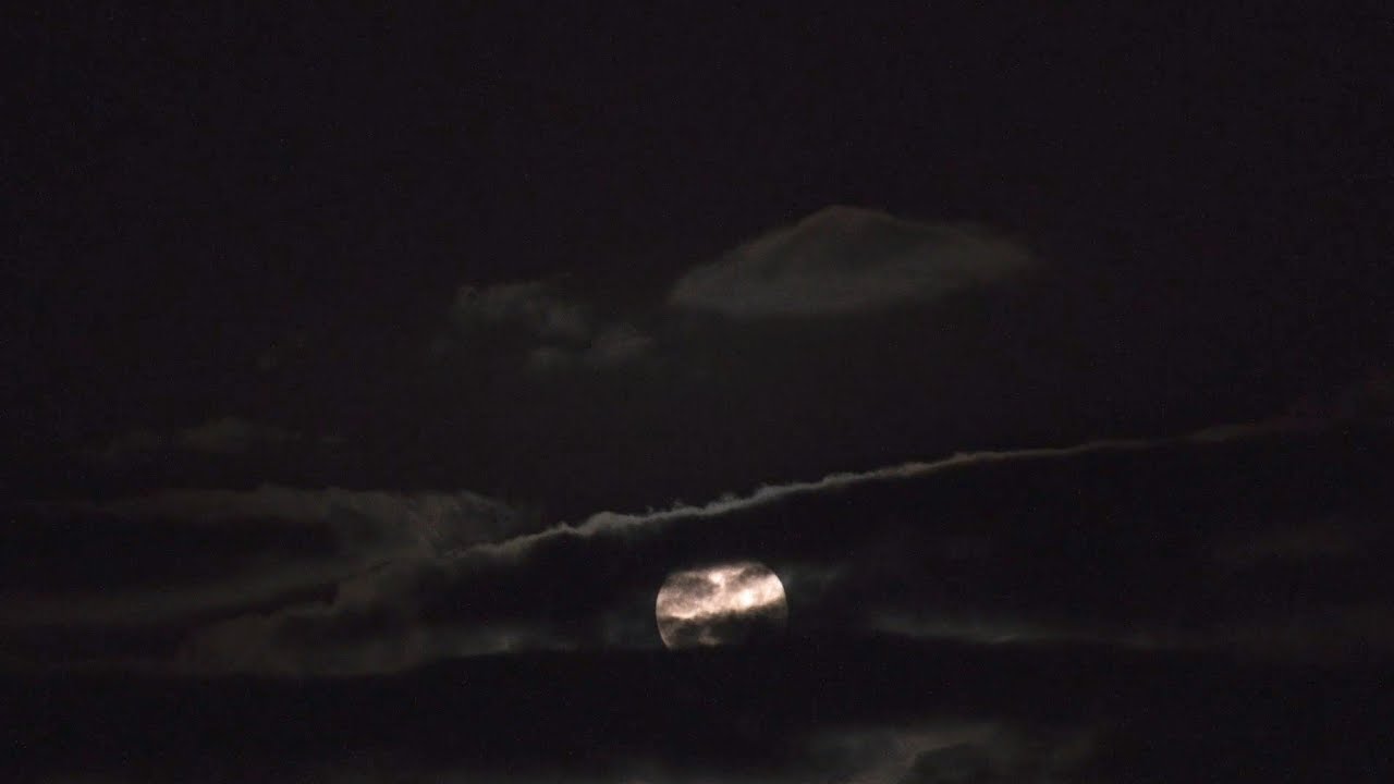 Islamic golpo 2.0  is live!