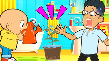 Hoạt hình Đậu Đậu | Tập 23 | Bài học về tính kiên nhẫn | DDTV