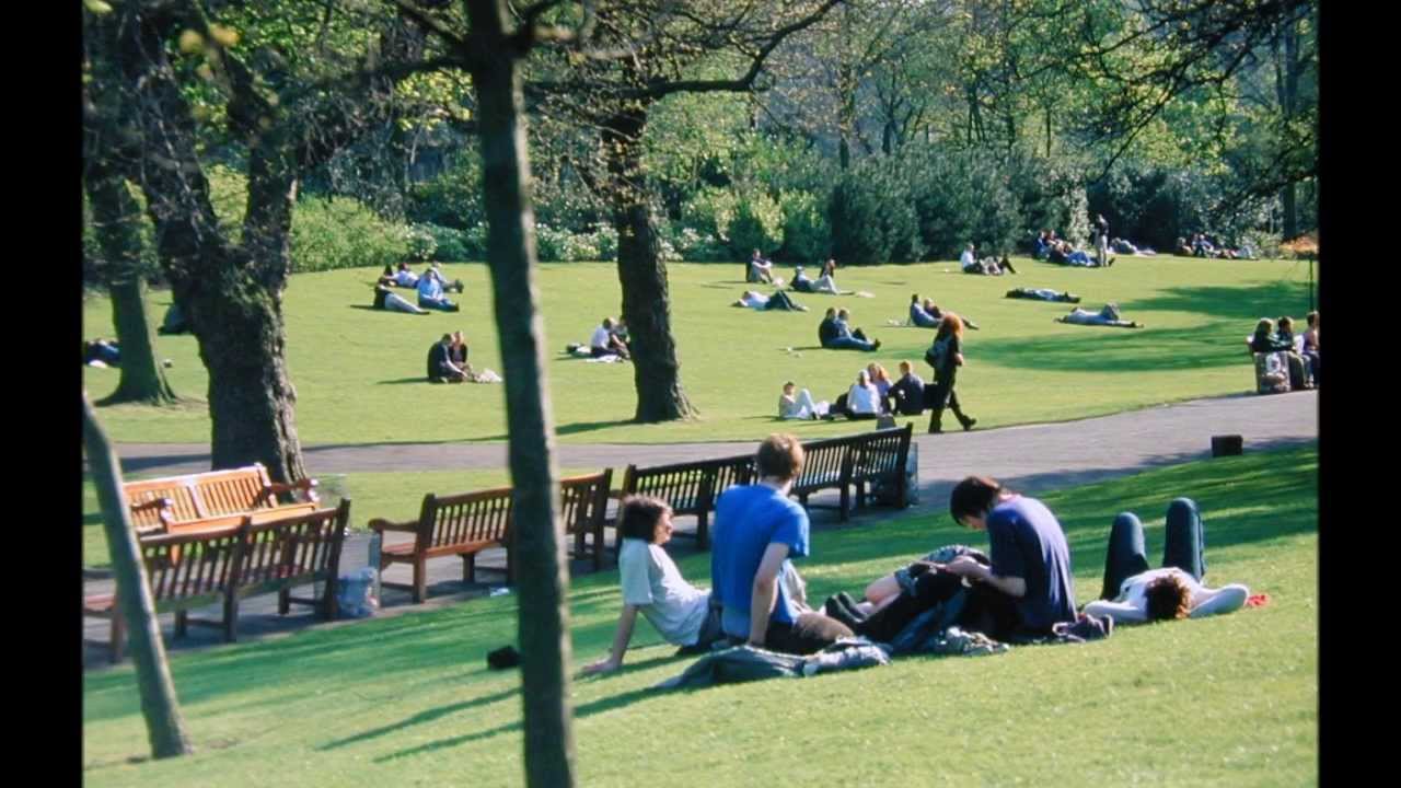 Воскресный парк. Городские парки общение. Исцеляющий парк. Mauerpark.