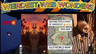weirdest web wonders vol 107