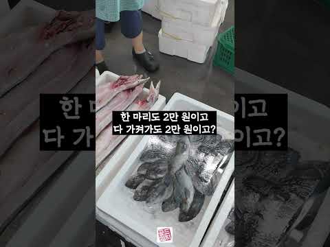 여름 한정 시장에서 만나는 갯장어 #참치아저씨 #골드참치 #참치회 #goldtuna #소맥이모 #쏘맥이모 #잠실맛집 #강남맛집 #방이동맛집 #신사동맛집