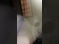いけないハラショー