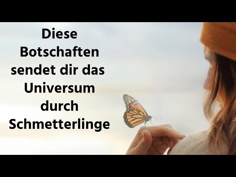 Diese verblüffenden Botschaften sendet dir das Universum durch Schmetterlinge!?