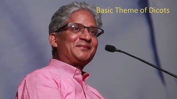 Plant Subclass -  Basic Theme of Dicots