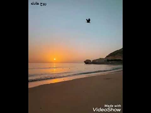 اي حاجه تيجي من ريحة الحبايب عمرو دياب حالات واتس واستوري