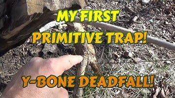 MY FIRST PRIMITIVE TRAP! Y BONE DEADFALL!