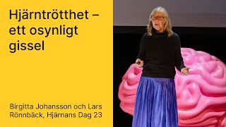 'Hjärntrötthet - ett osynligt gissel' med Lars Rönnbäck & Birgitta Johansson (Hjärnans Dag 2023)