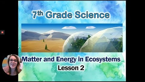 Matter and Energy in Ecosystems: Lesson 2