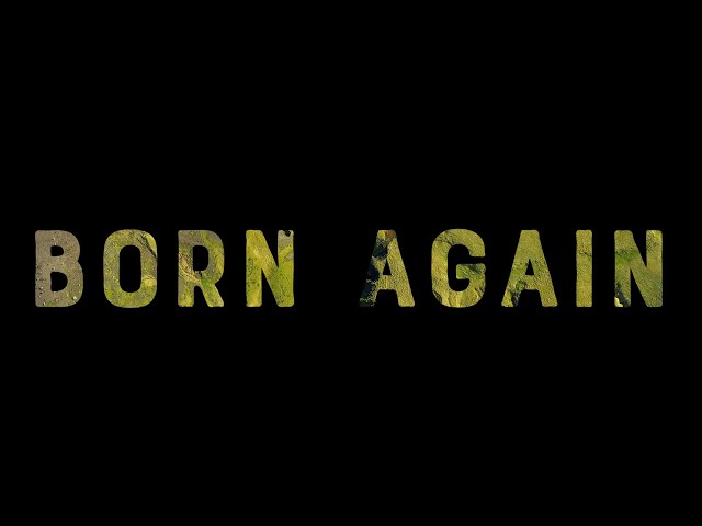 Greensky Bluegrass - Born Again