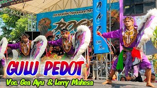 GULU PEDOT ( GEA & LERRY MAHESA ) ROGO SAMBOYO PUTRO - SHAFIRA AUDIO