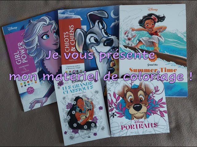 SAISONS - coloriage mystère Disney - Hachette Heroes - SOLUTIONS 