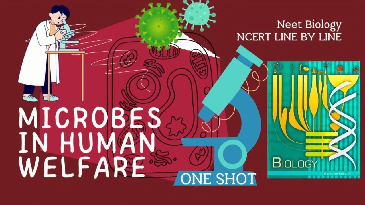 MICROBES IN HUMAN WELFARE l NEET l l BIOLOGY I COMPETITIVE EXAMS l ONE ...