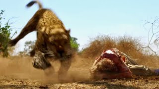サバンナで孤立した一家が猛獣と密猟者に襲われる！映画『クルーガー 絶滅危惧種』予告編