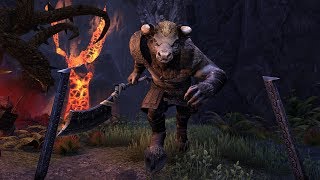 ESO Live - Tour of Falkreath Hold (Horns of the Reach)