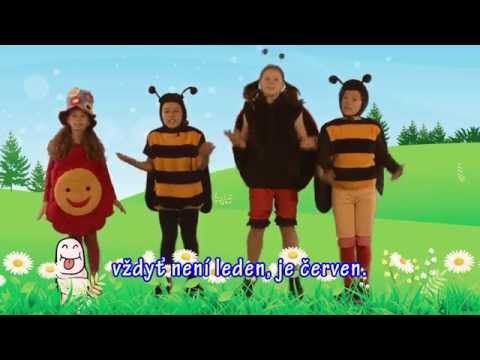 Video: Žížala