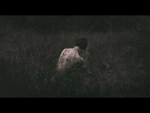 More or Less than Human (A Playlist)