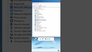 Mouse Not Working Windows 11 FIX ( 2025 )