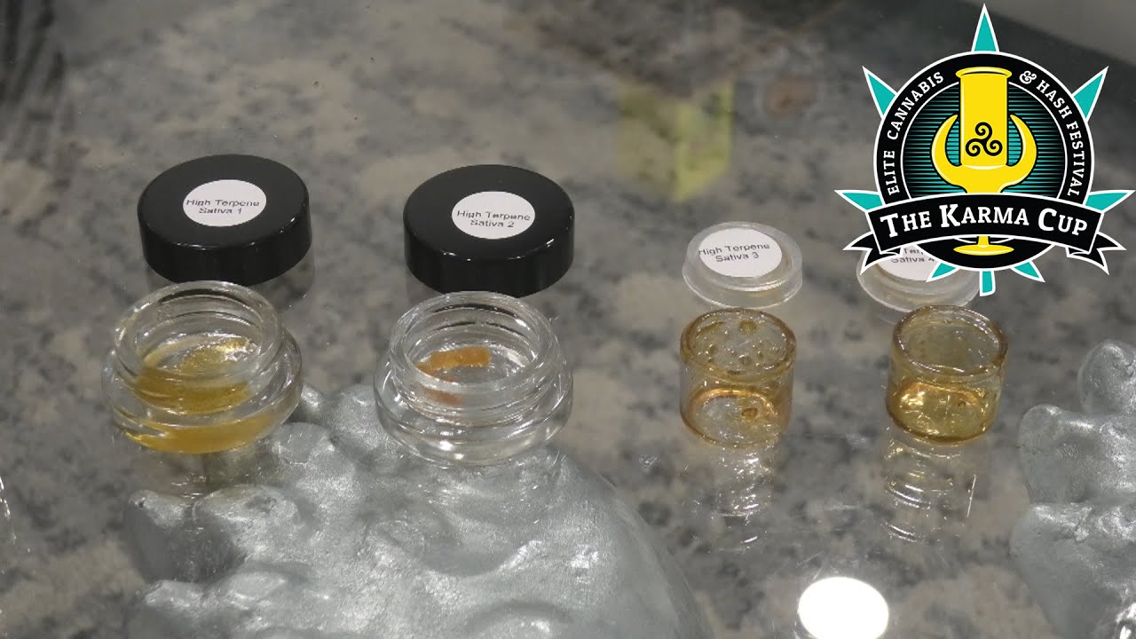 Judging High Terpene Sativa Karma Cup 2020