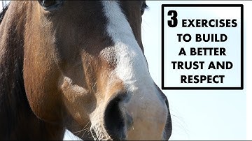 3 EXERCISES TO BUILD A BETTER TRUST AND RESPECT