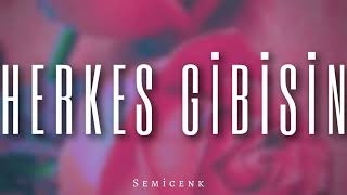Semicenk - Herkes Gibisin ( Remix )