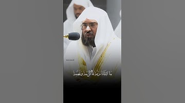 عبدالرحمن السديس | سورة الفجر