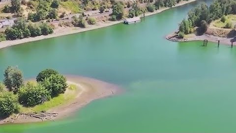 Advisories for the Willamette River’s toxic algae blooms are lifting, but not over