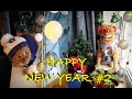 HAPPY NEW YEAR p2/ Funny animals, cats, raccoons, dogs 2021