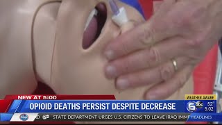 Knox County opioid deaths persisting despite decrease