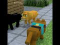 I think the dog will go to heaven?! - Part 35