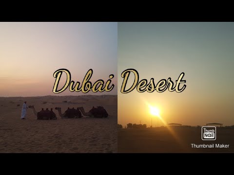 Desert in Dubai 28/10/2019 (Georgia Bellamy)