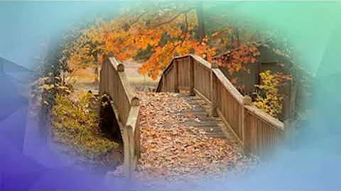 The Royal Path.....Rupert Spira