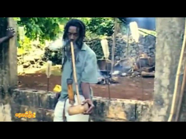 Official Music - Stephen “Ragga” Marley ft Spragga Benz u0026 Damian Marley Bongo Nyah class=