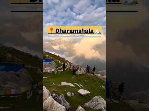 Video: Dharamshala, India: Ghidul complet