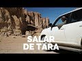 SALAR DE TARA, um dos MELHORES passeios no ATACAMA