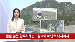 몸살 앓는 황우치해변…절벽에 페인트 낙서까지