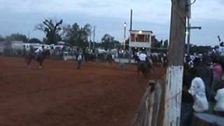 2010 SPRING JAM RODEO