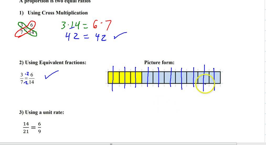 Proportions introduction - YouTube