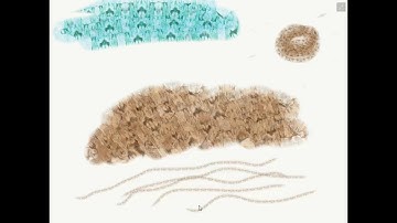 Using a Custom Brush from Adobe Capture in Adobe Sketch