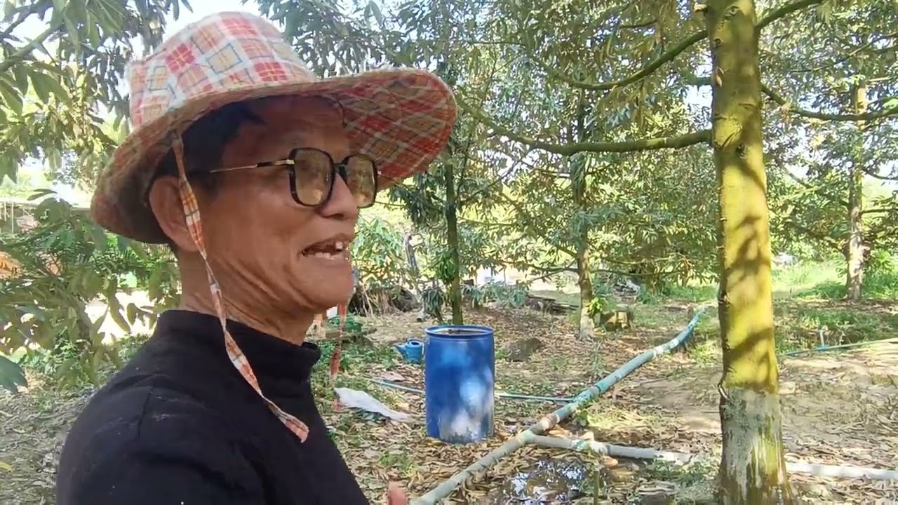 ทุเรียนมีดอกหลายรุ่น สวนพี่เจิดดูแลยังไง ep.2 #หาแนวทางทำทุเรียนง่ายๆสไตล์พี่กบ