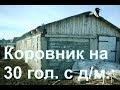 Обзор коровника с доильными местами. Однорядный брус/пеноблок 5 х 25 м.