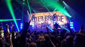 Alter Bridge - Pay No Mind - Live