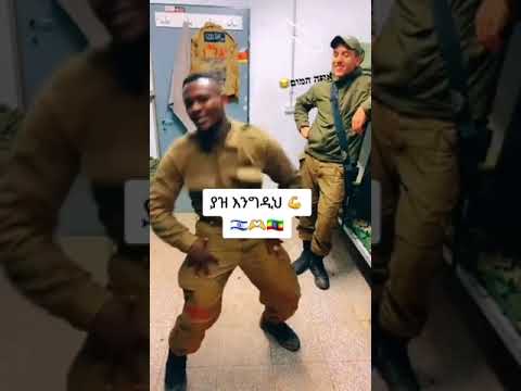 Amhara Fano Fano Amhara Shorts 