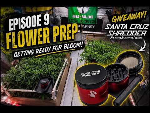 EP|9 Flower Prep