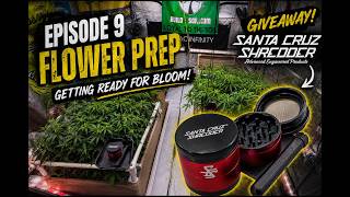 EP|9 Flower Prep