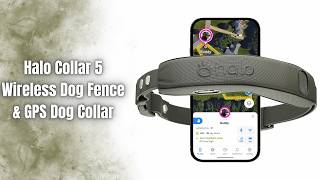 Halo Collar 5 Review | Smart GPS Dog Fence with Real-Time Tracking!