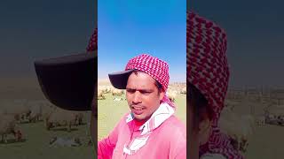 जय होछठी मैया #viral #shortvideos #viralvideos #firstvlog #shortsfeed #shortsviral #reels