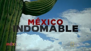 México Indomable Episodio 2