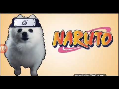 meme(cachorro-cantando-a-musica-do-naruto-em-açao