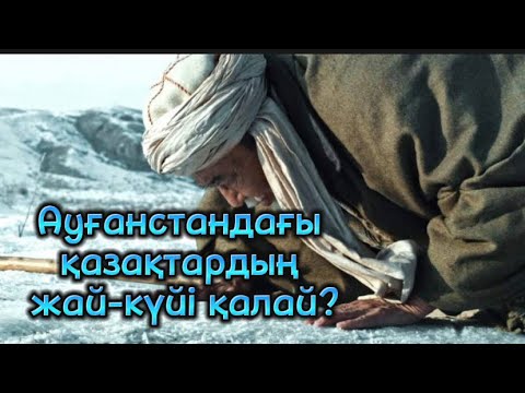 Бейне: Қандай жұрнақ күйді білдіреді?